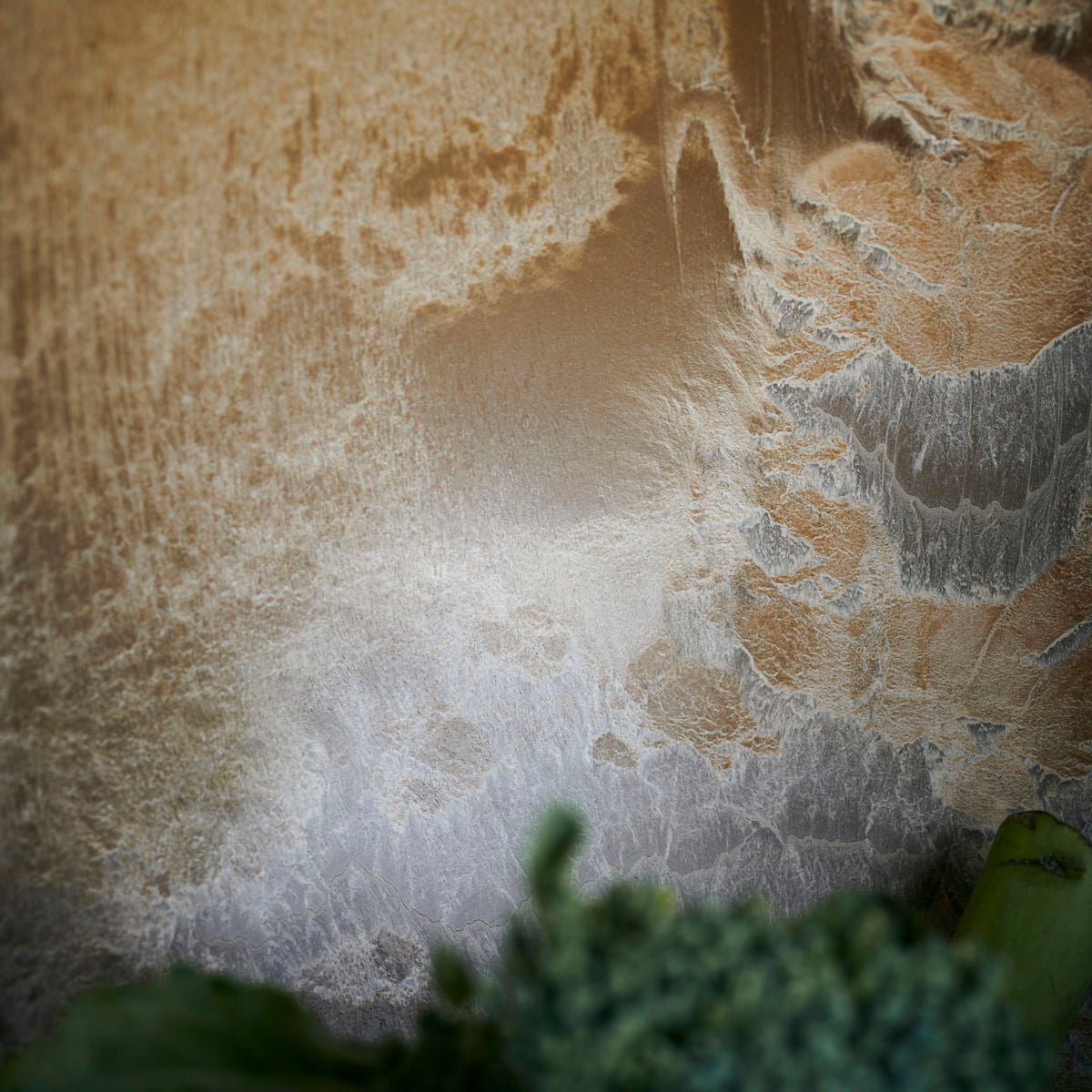 Bowl serveur oro - CasaSoyer