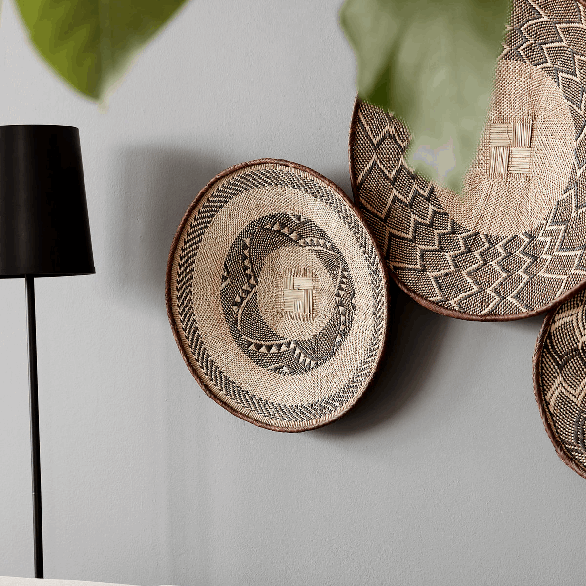 AZAFATE TONGA CasaSoyer