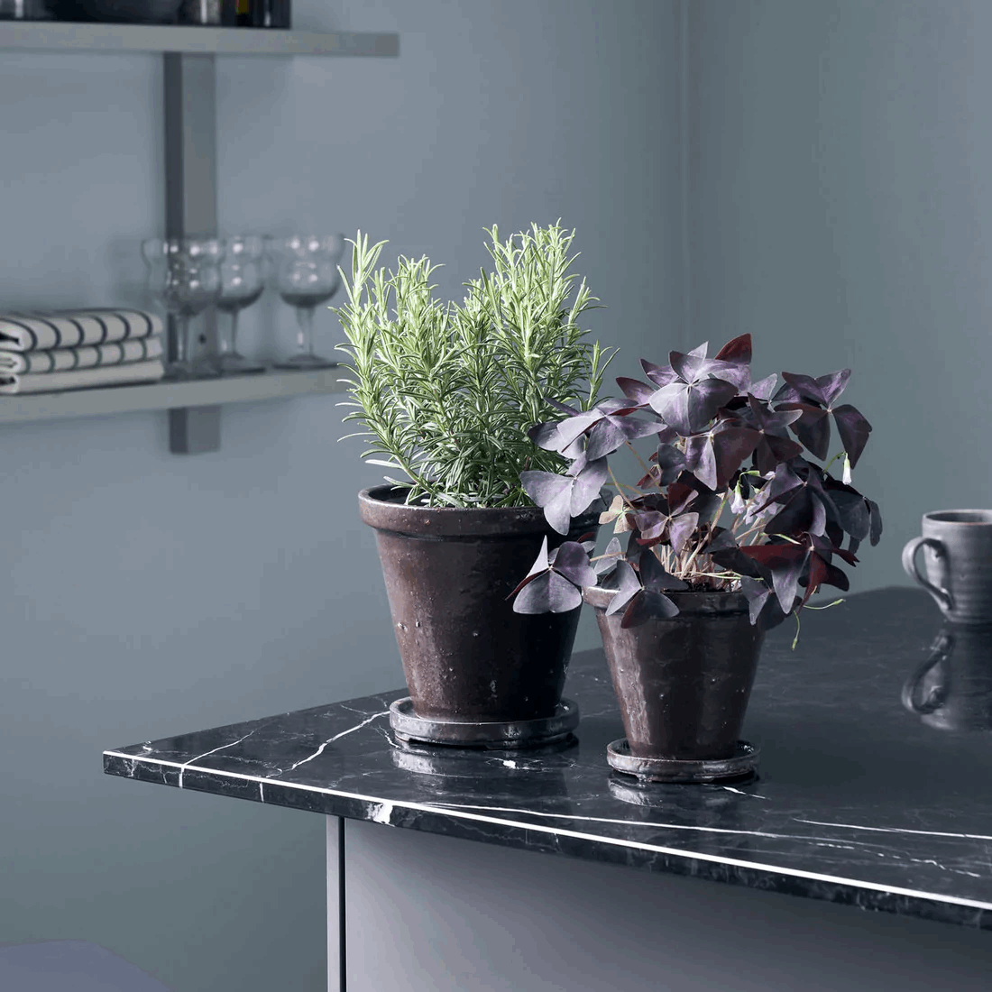 MACETA SAUCER S Casa Soyer