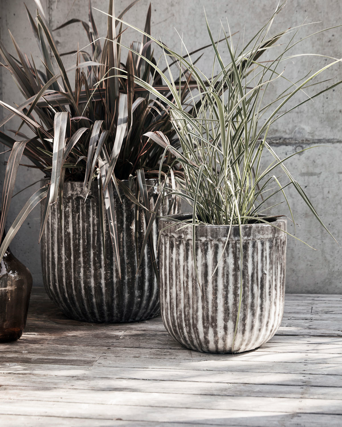 Planter, Pharao, Antique brown CasaSoyer