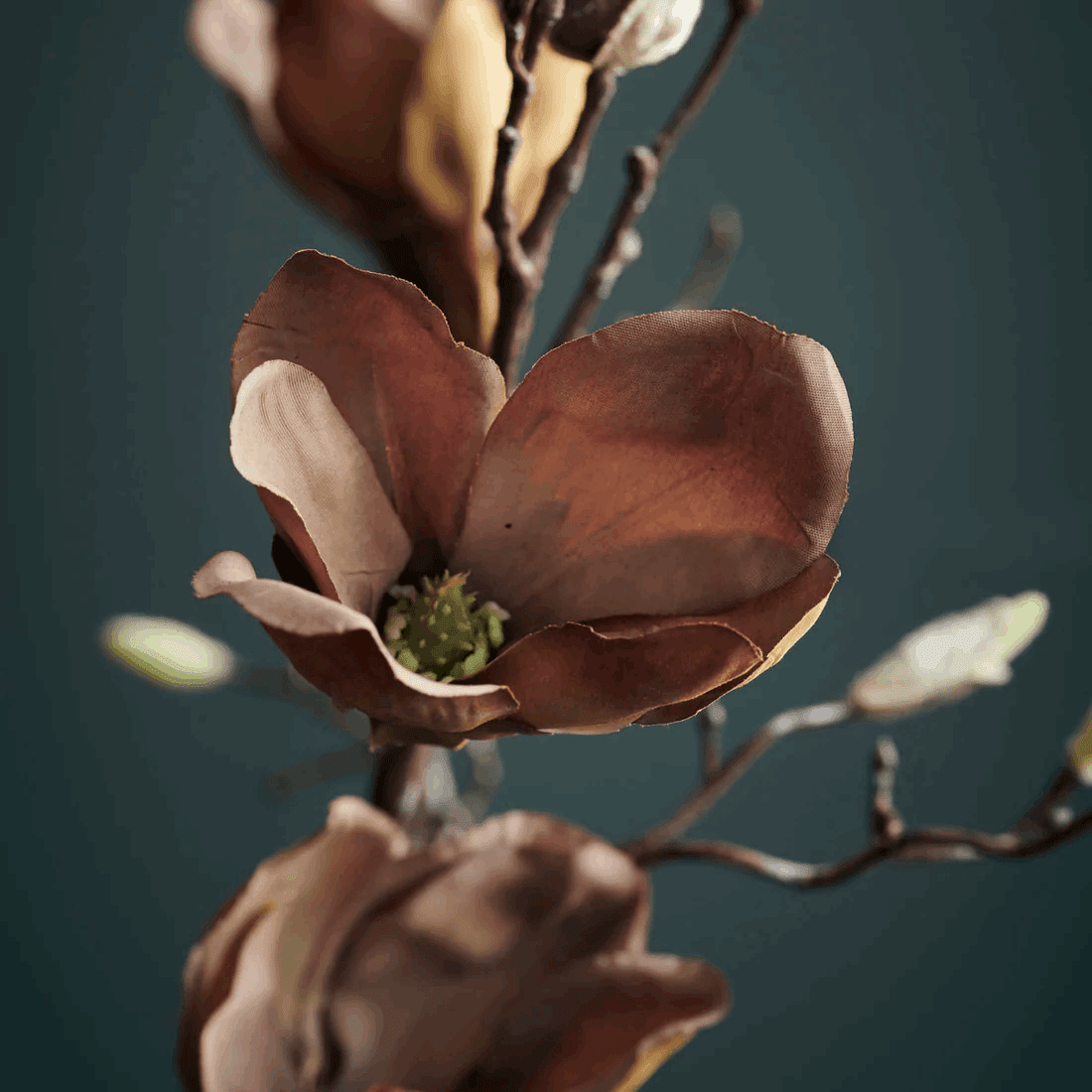 FLORES MAGNOLIA - CasaSoyer