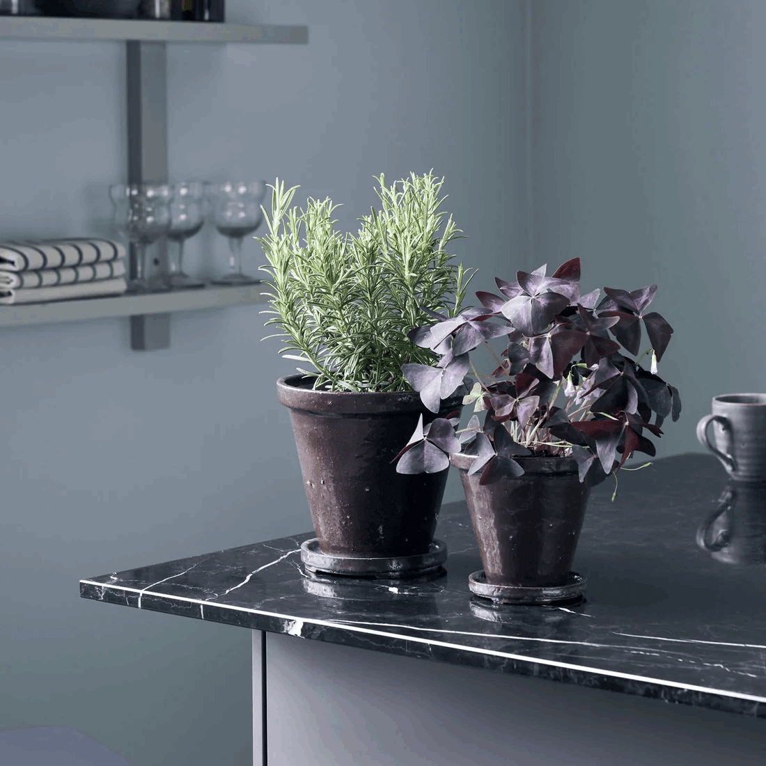 Maceta Sauce S - CasaSoyer