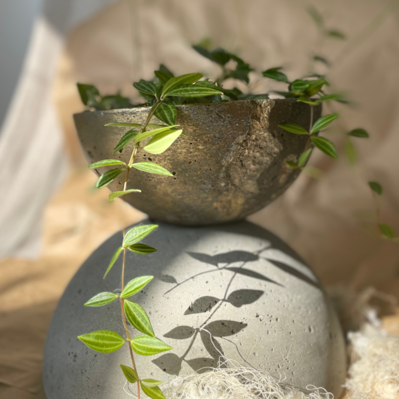 Macetero Resilencia I Casa Soyer