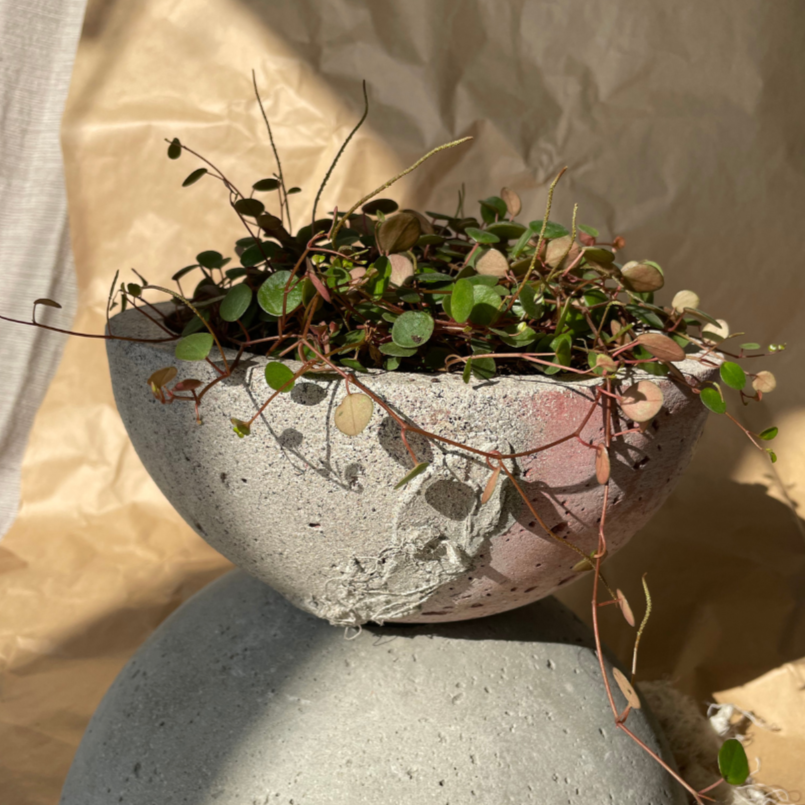 Macetero Movimiento Casa Soyer