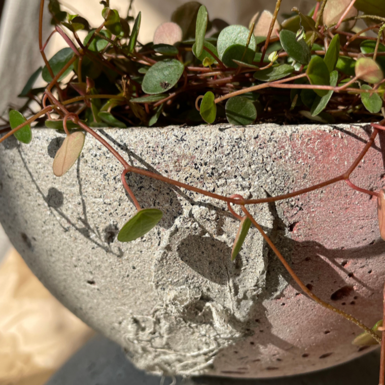 Macetero Movimiento Casa Soyer