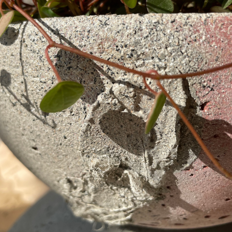 Macetero Movimiento Casa Soyer