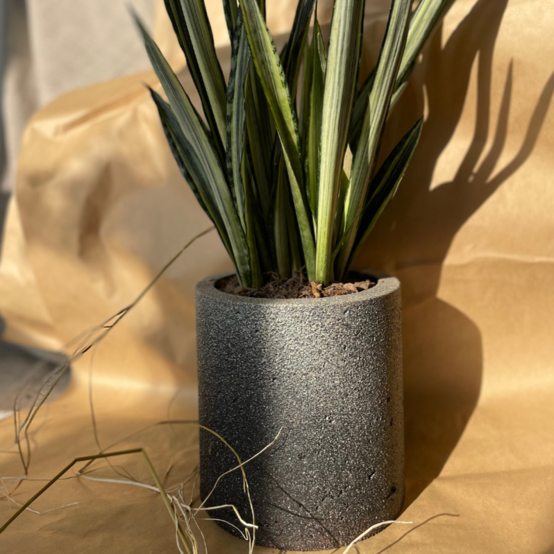 Macetero Simplicidad Casa Soyer