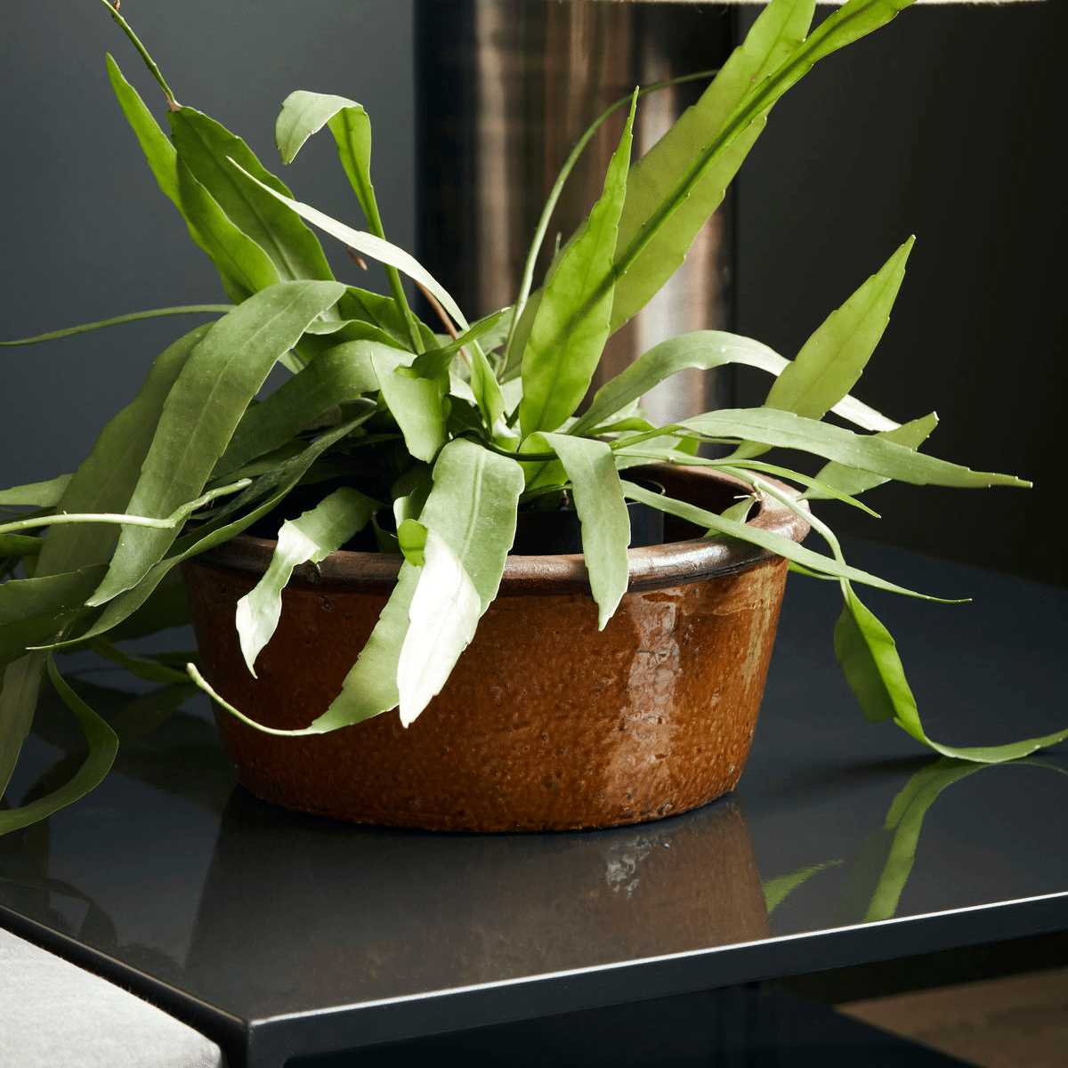 Macetero Whai House Doctor