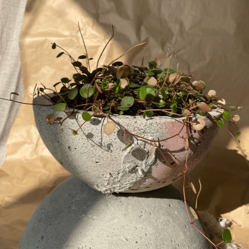 Macetero Movimiento - CasaSoyer