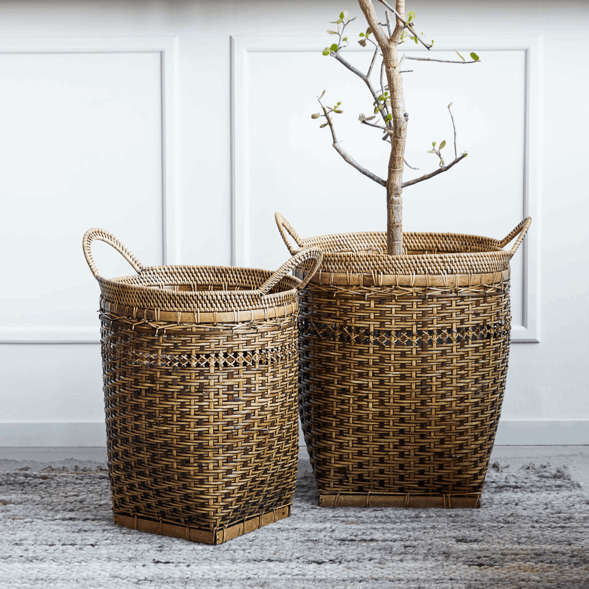 CESTAS PURA - CasaSoyer