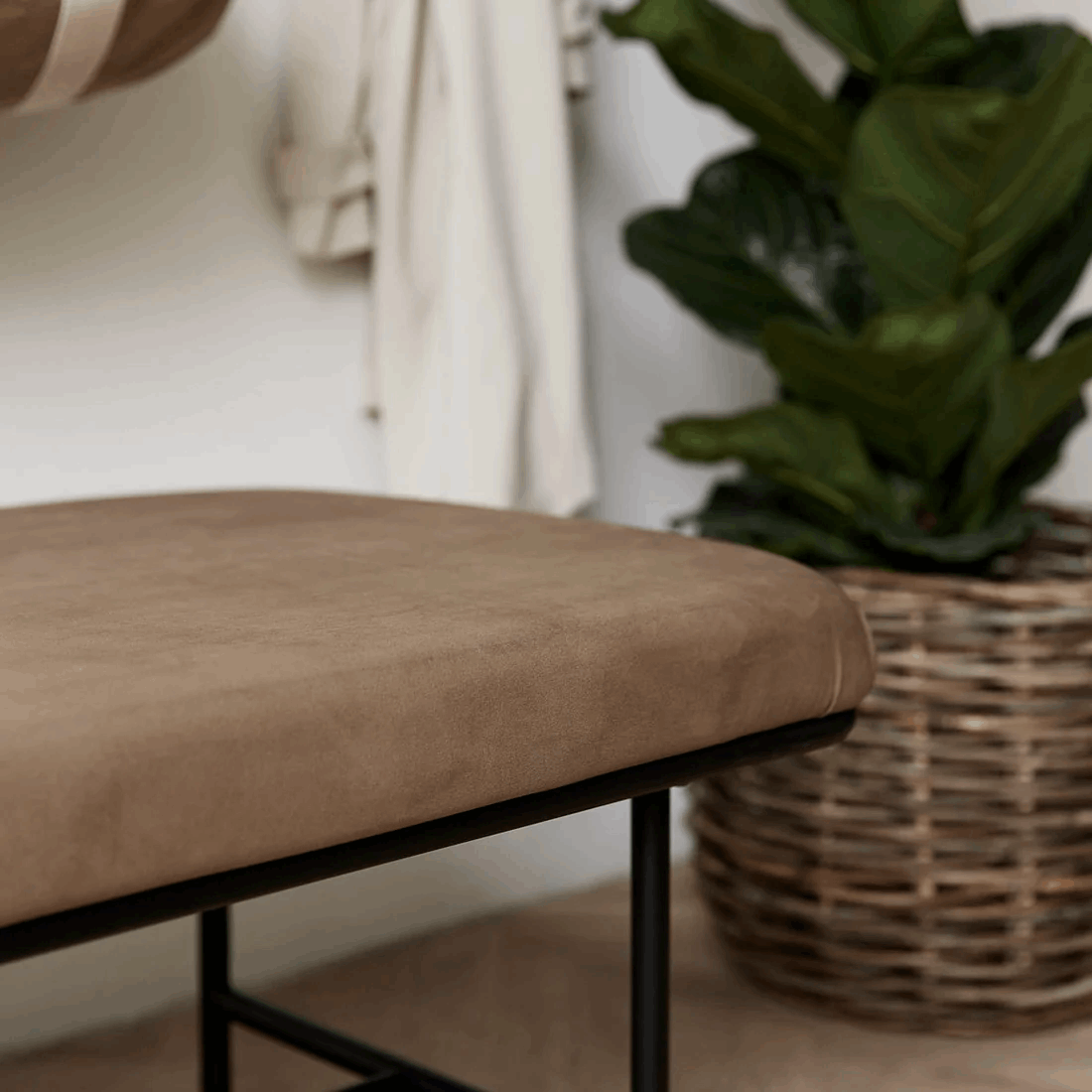 BANCO COMMA Casa Soyer