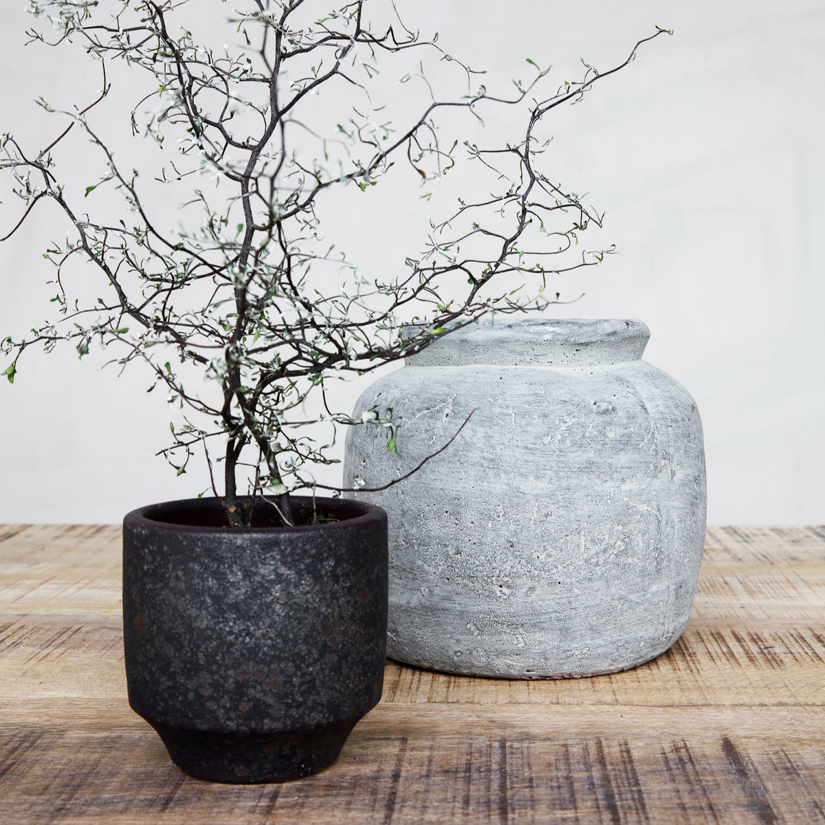 Planter, Rustik, Concrete CasaSoyer