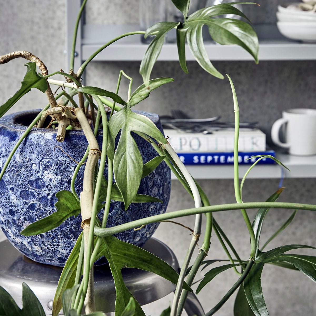 Maceta pavi azul - CasaSoyer