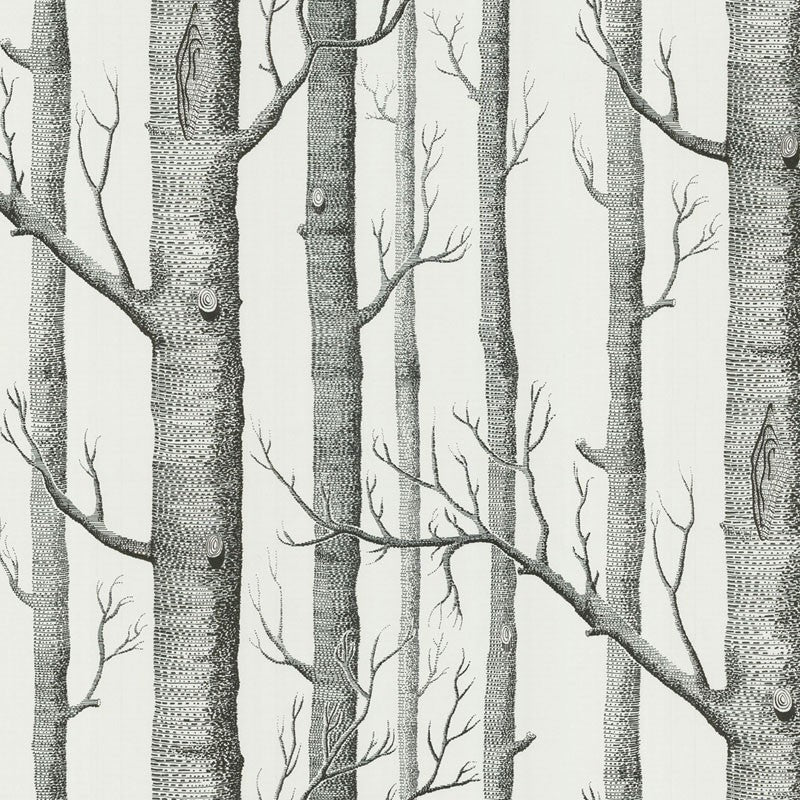 Papel Woods 69/12147