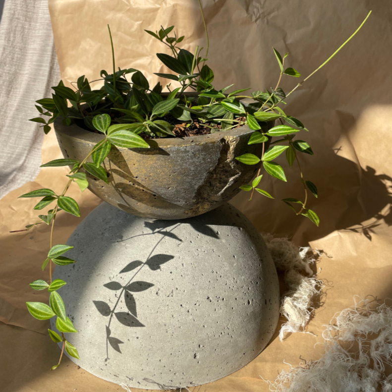 Macetero Resilencia I Casa Soyer