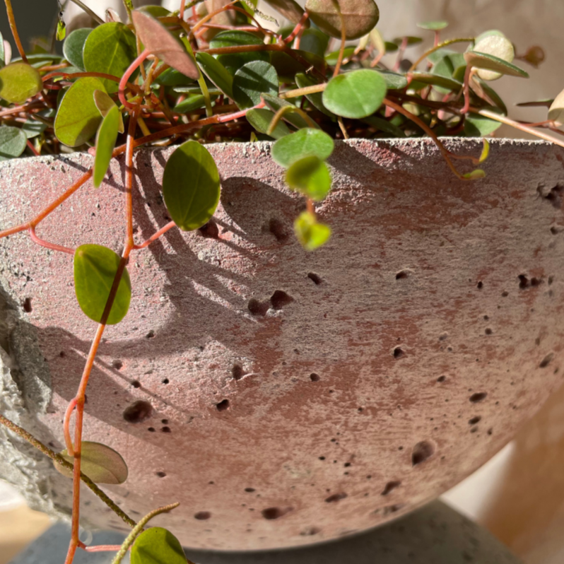 Macetero Movimiento Casa Soyer