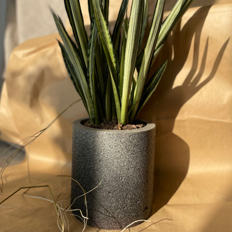 Macetero Simplicidad Casa Soyer