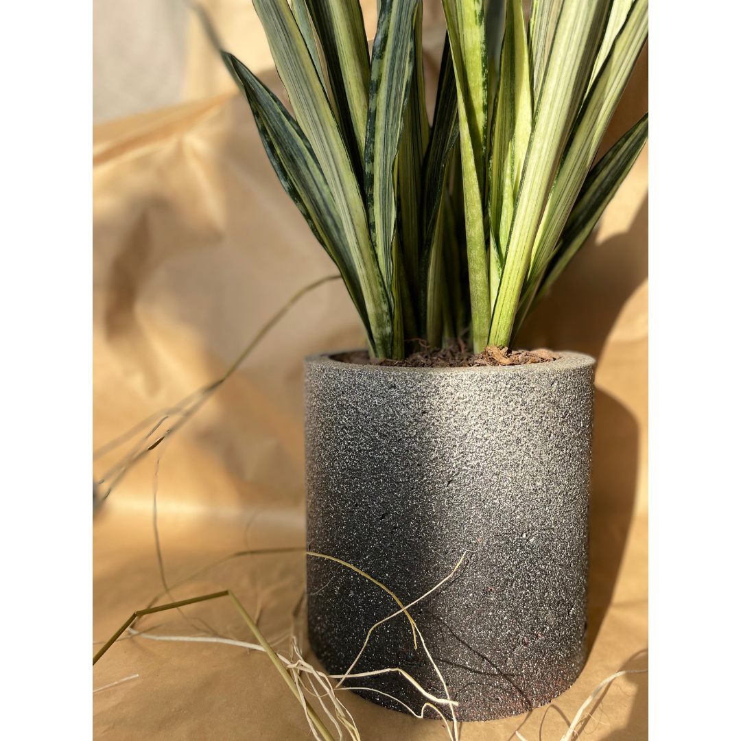 Macetero Simplicidad Casa Soyer