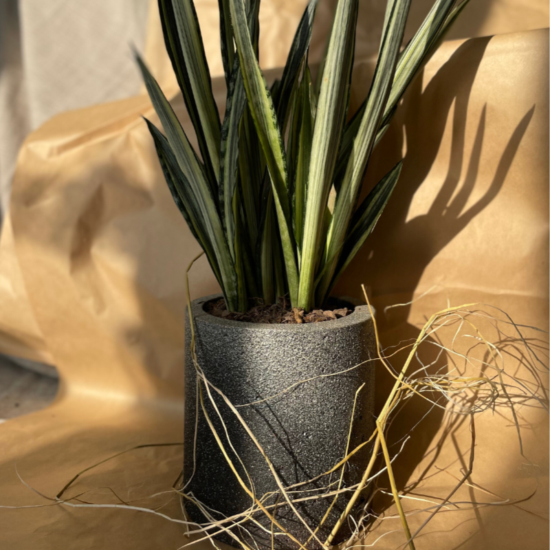 Macetero Simplicidad Casa Soyer