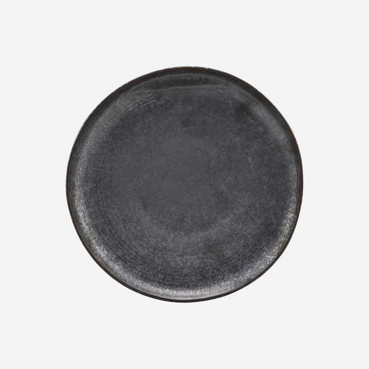 Plato Pion House Doctor