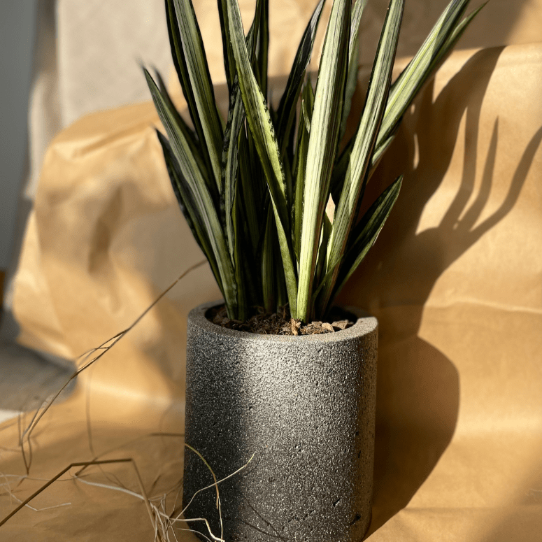 Macetero Simplicidad - CasaSoyer