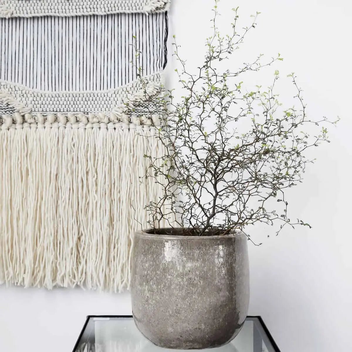 Planter Earth - CasaSoyer